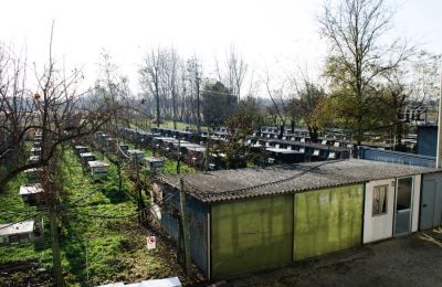 File di gabbie per lepri